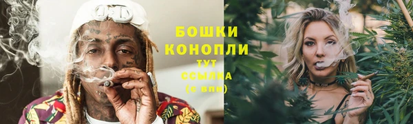 ECSTASY Новозыбков