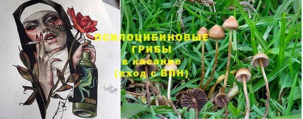 таблы Новодвинск