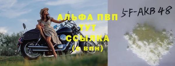 ECSTASY Новозыбков