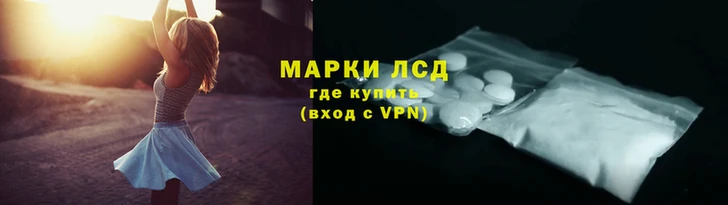 ECSTASY Новозыбков
