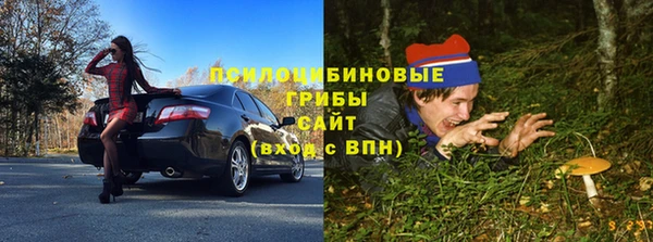 таблы Новокубанск