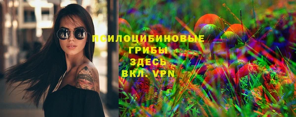 таблы Новодвинск