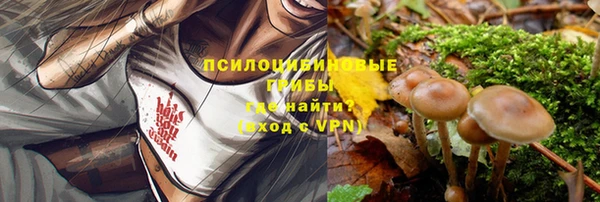 таблы Новокубанск