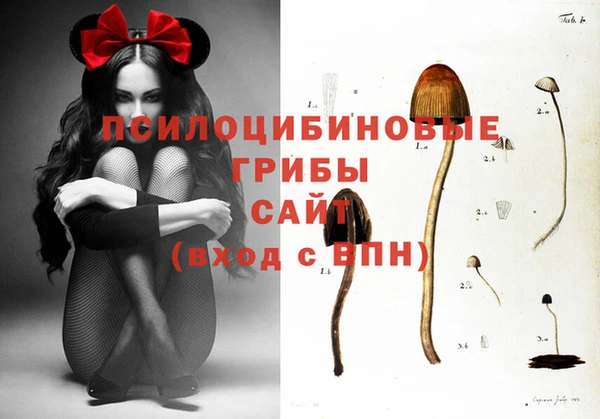 таблы Новокубанск