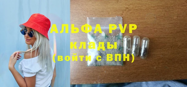 таблы Новодвинск
