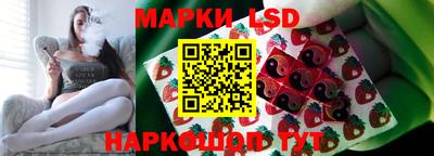 PSILOCYBIN Можга