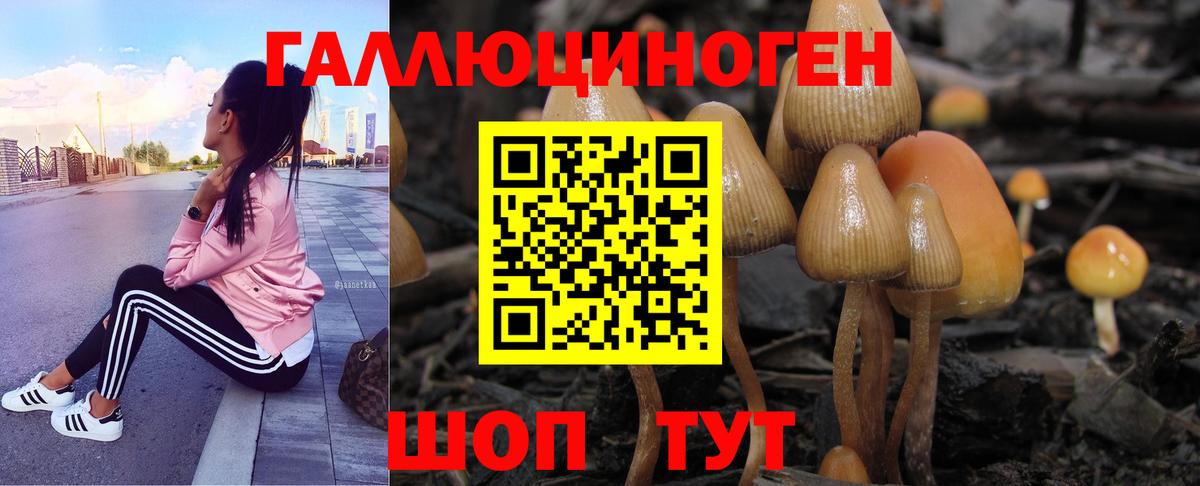 Псилоцибиновые грибы прущие грибы  что такое наркотик  Нижний Новгород  Вход с VPN 